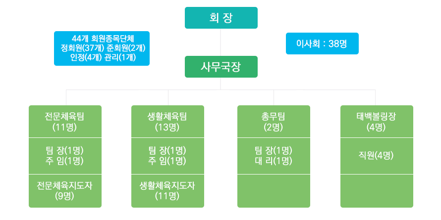 조직도사진